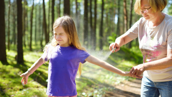Myggbett – om myggor i Sverige och utomlands